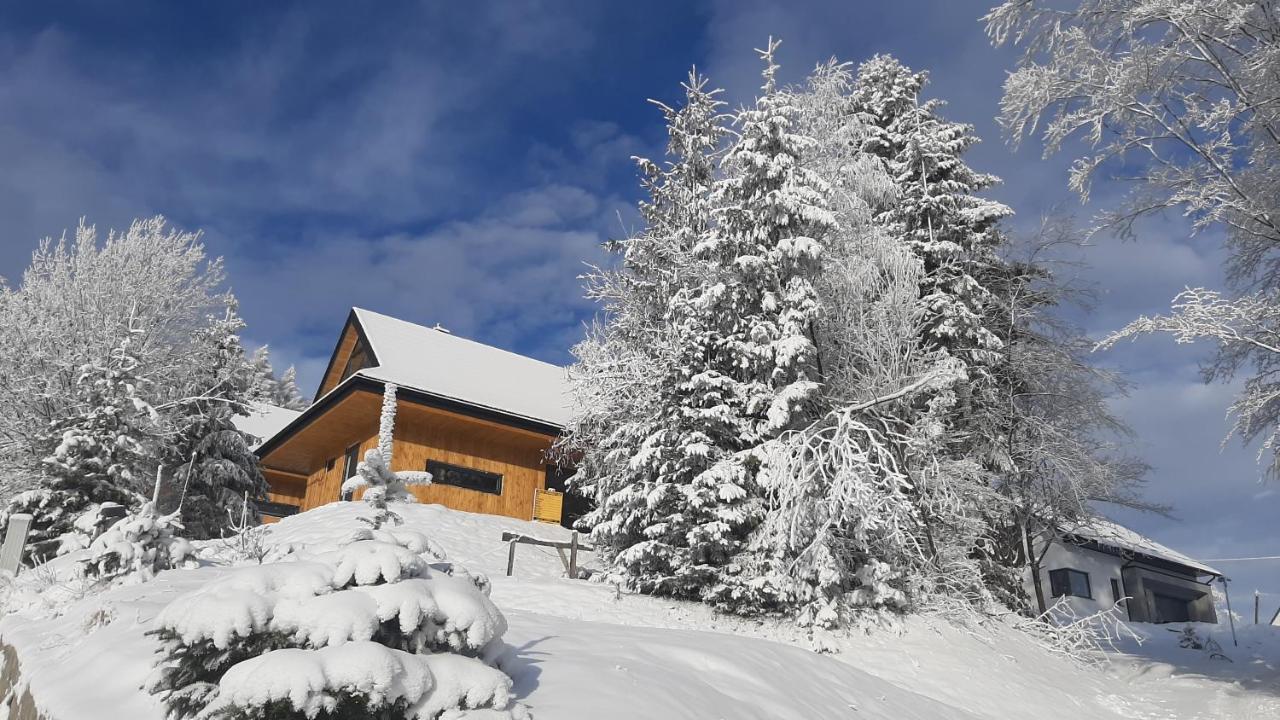 Domki Krynica Villa Eksteriør billede