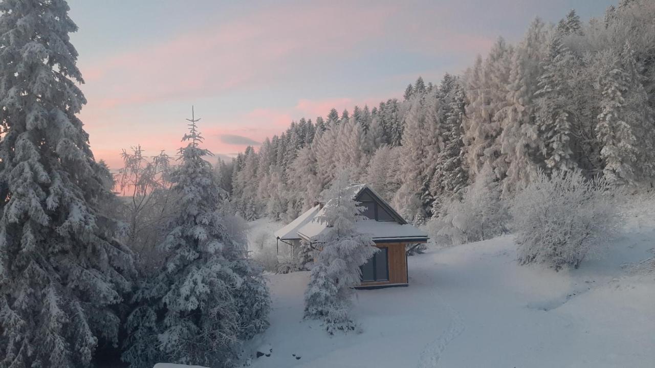 Domki Krynica Villa Eksteriør billede